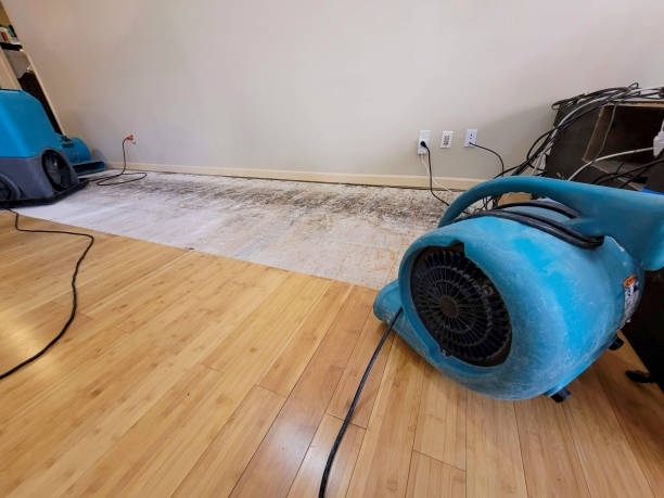 Professional Water Damage Repair technician working in Monticello, NY